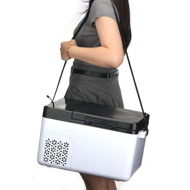 12v-24v/220v Fresh and Frozen  - огляд і ціна Outdoor Camping Fridge